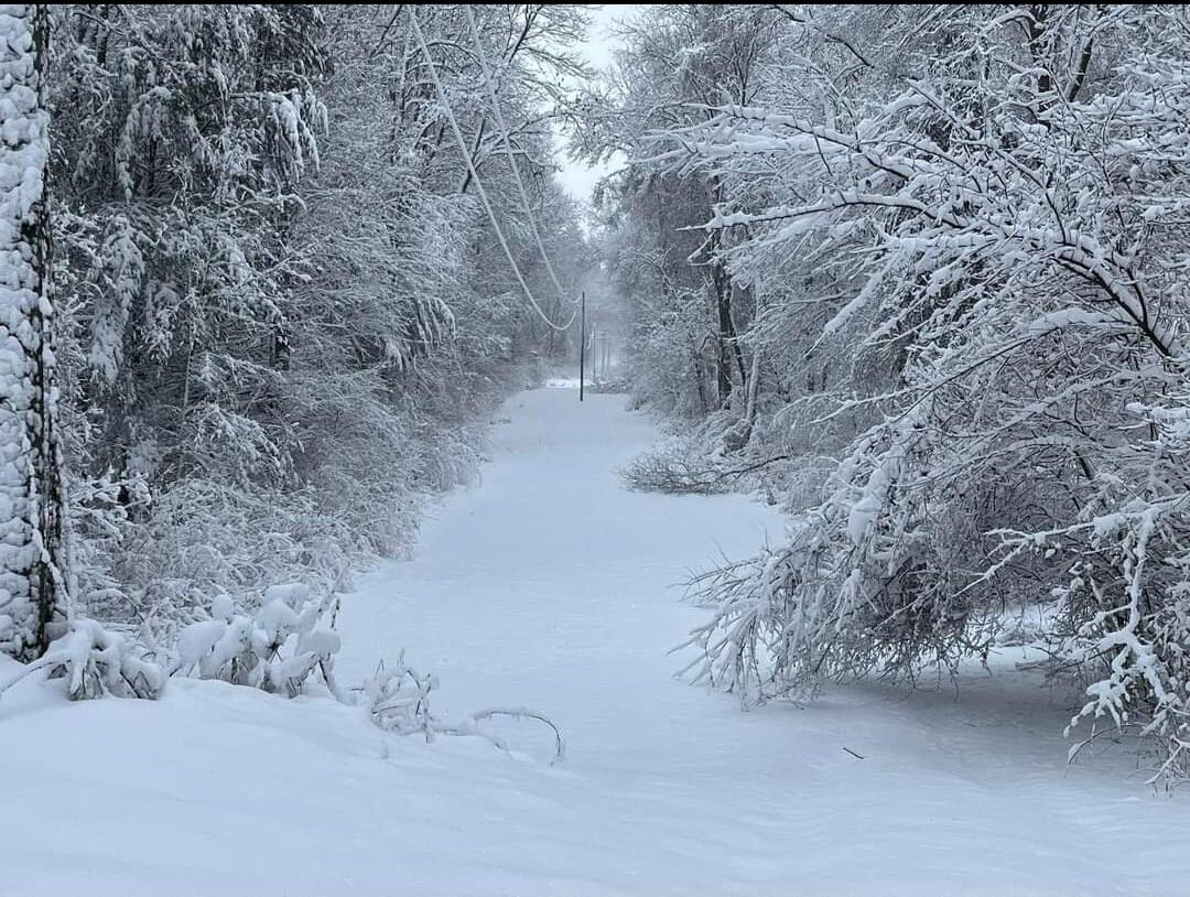 South Norris Road Delton, MI 49046 - Photo 15 of 19 Screenshot_20240114-194500_Facebook