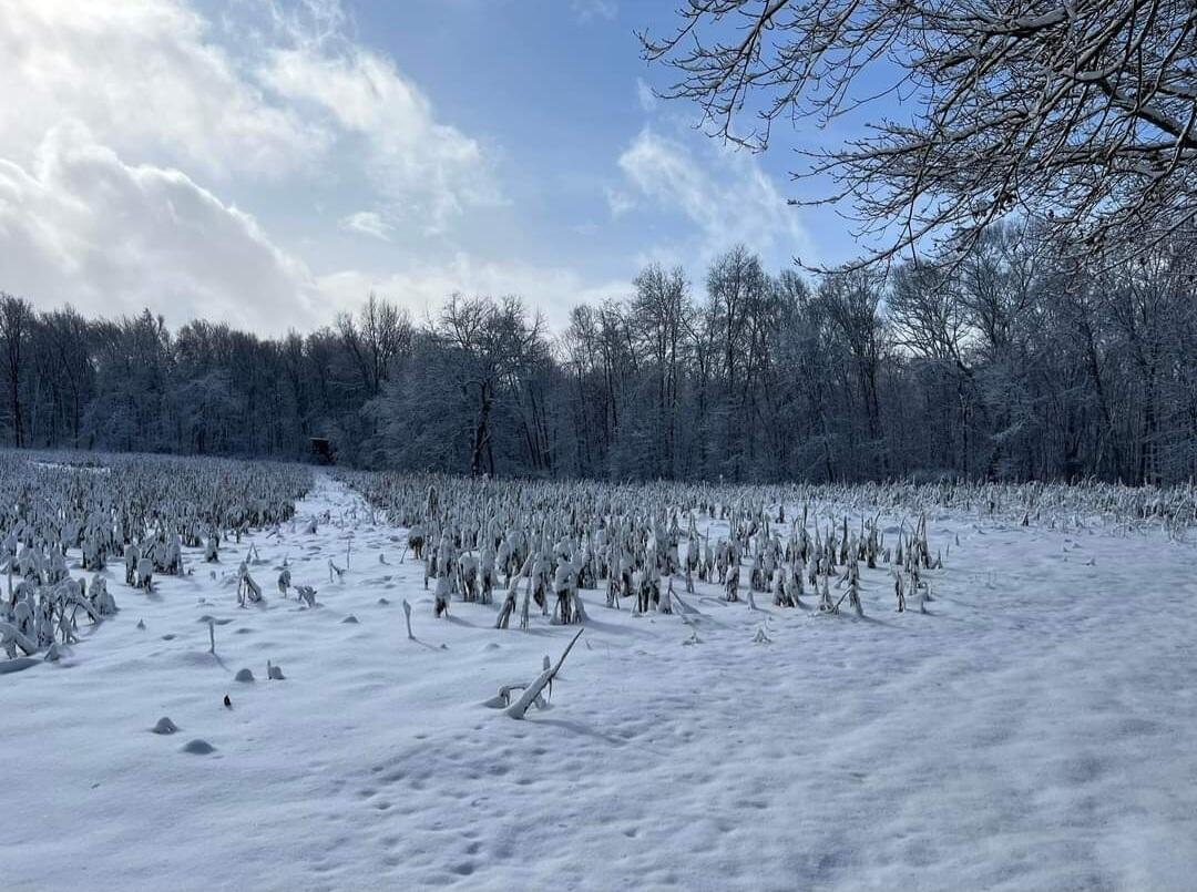 South Norris Road Delton, MI 49046 - Photo 16 of 19 Screenshot_20240114-194524_Facebook