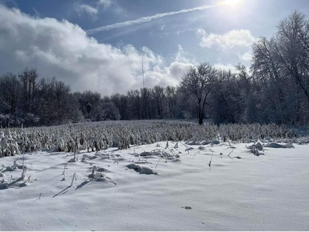 South Norris Road Delton, MI 49046 - Photo 18 of 19 Screenshot_20240114-194528_Facebook