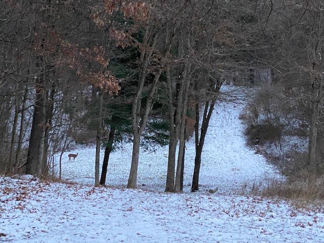 South Norris Road Delton, MI 49046 - Photo 19 of 19 image6
