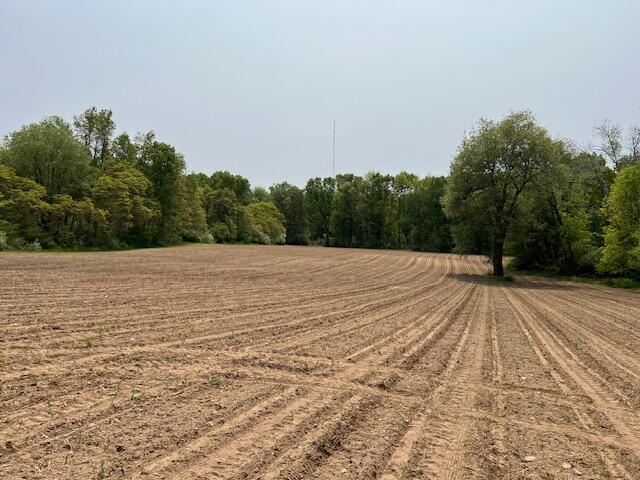 South Norris Road Delton, MI 49046 - Photo 4 of 19 image2