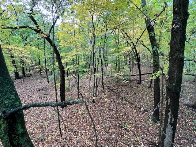 South Norris Road Delton, MI 49046 - Photo 5 of 19 image3