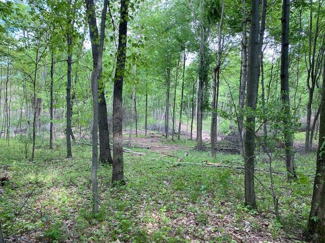 South Norris Road Delton, MI 49046 - Photo 6 of 19 image4