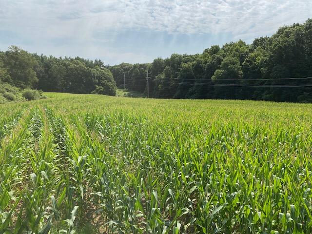South Norris Road Delton, MI 49046 - Photo 8 of 19 image1