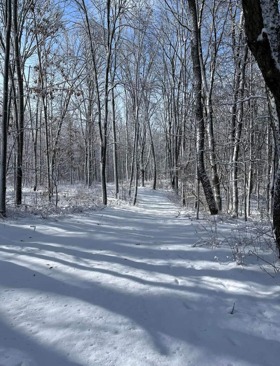 South Norris Road Delton, MI 49046 - Photo 10 of 19 Screenshot_20240114-194534_Facebook