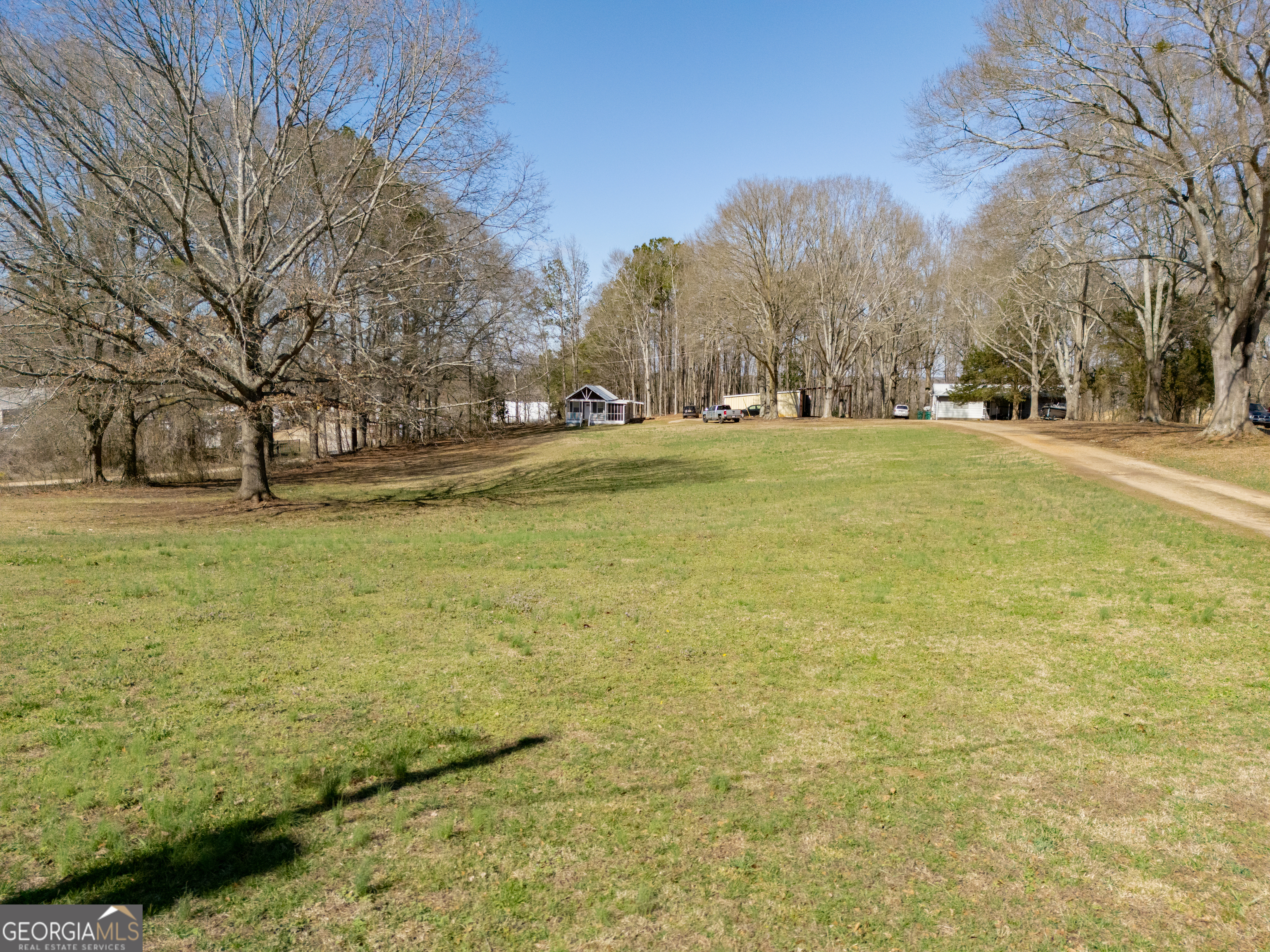 120 3rd Avenue North Ranburne, AL 36273 - Photo 27 of 33 a view of yard with trees