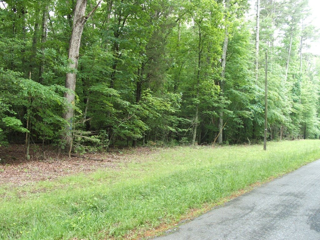 819 Old School Road Clarksville, VA 23927 - Photo 2 of 4 Gallery Image 2