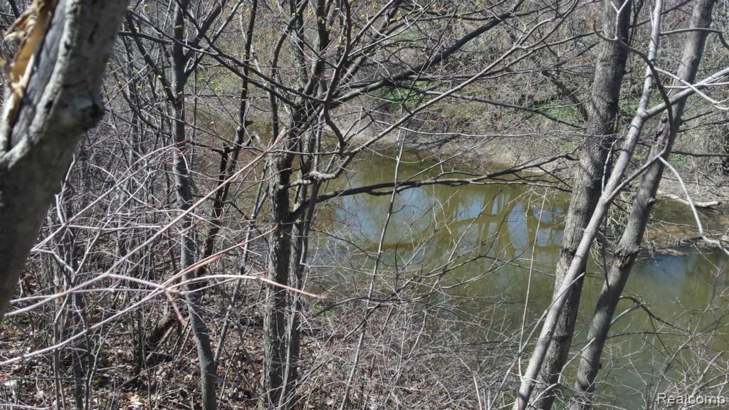 14814 Belle River Road Allenton, MI 48002 - Photo 6 of 17 Gallery Image 6