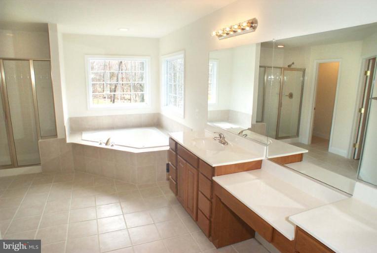 0 Rochelles Way Catlett, VA 20119 - Photo 6 of 16 jetted tub with showerand huge walk in closet