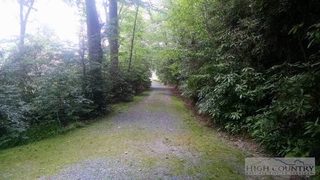 193 Diamond Ranch Road Boone, NC 28607 - Photo 19 of 26 Gallery Image 19
