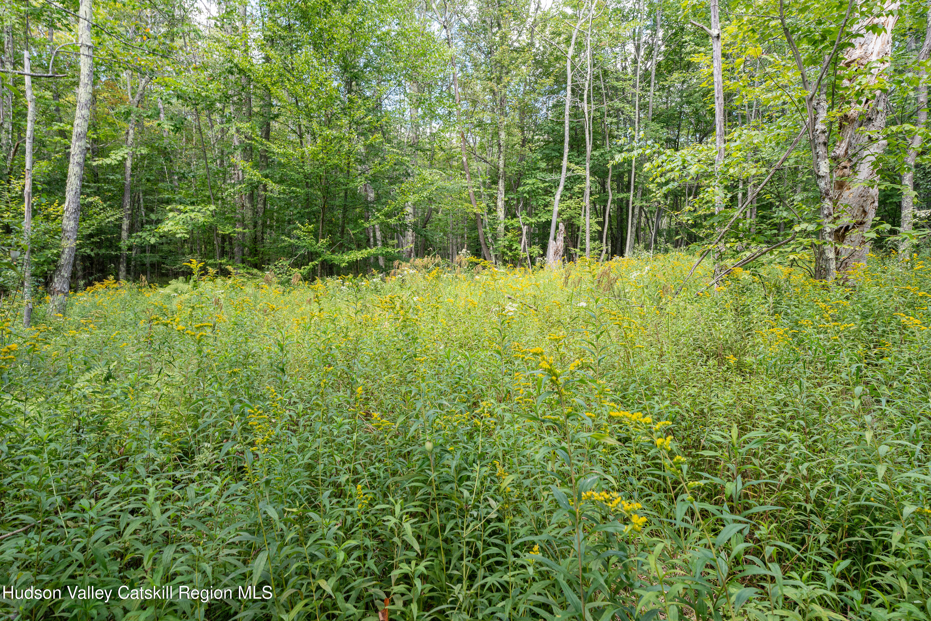 0 Joe Todd Road Fleischmanns, NY 12430 - Photo 15 of 18 a view of outdoor space and garden