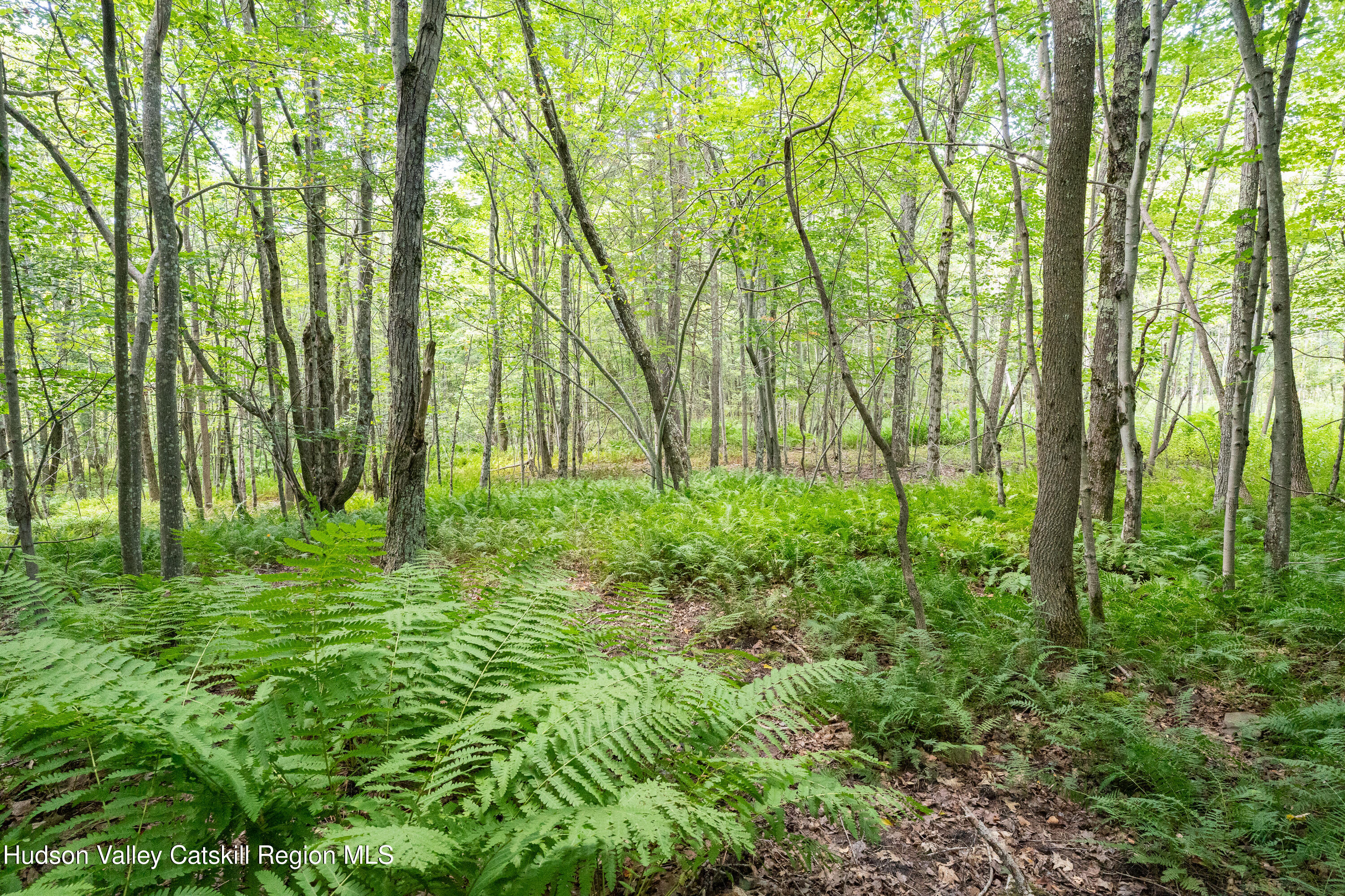 0 Joe Todd Road Fleischmanns, NY 12430 - Photo 16 of 18 a garden view