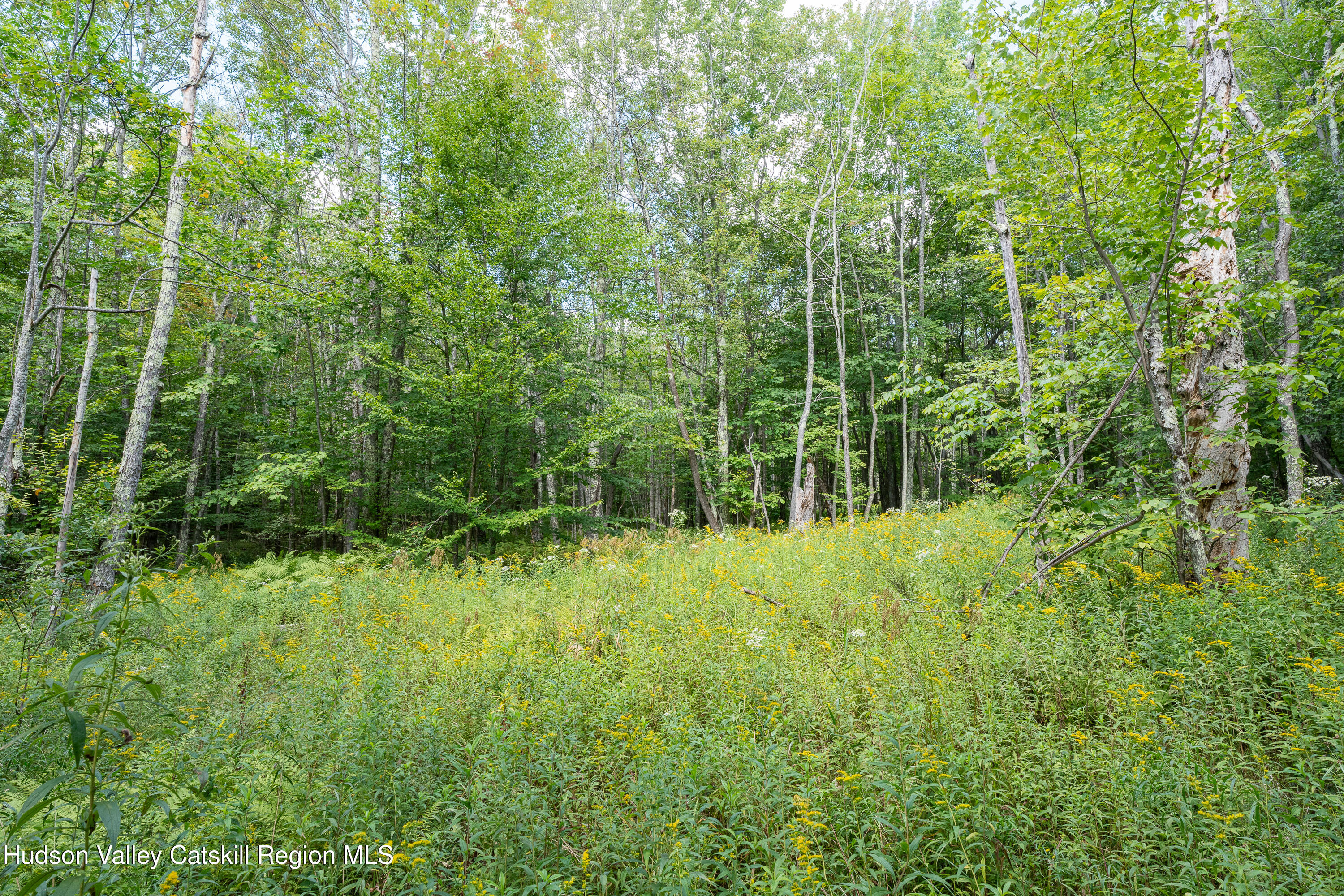 0 Joe Todd Road Fleischmanns, NY 12430 - Photo 5 of 18 a view of a garden