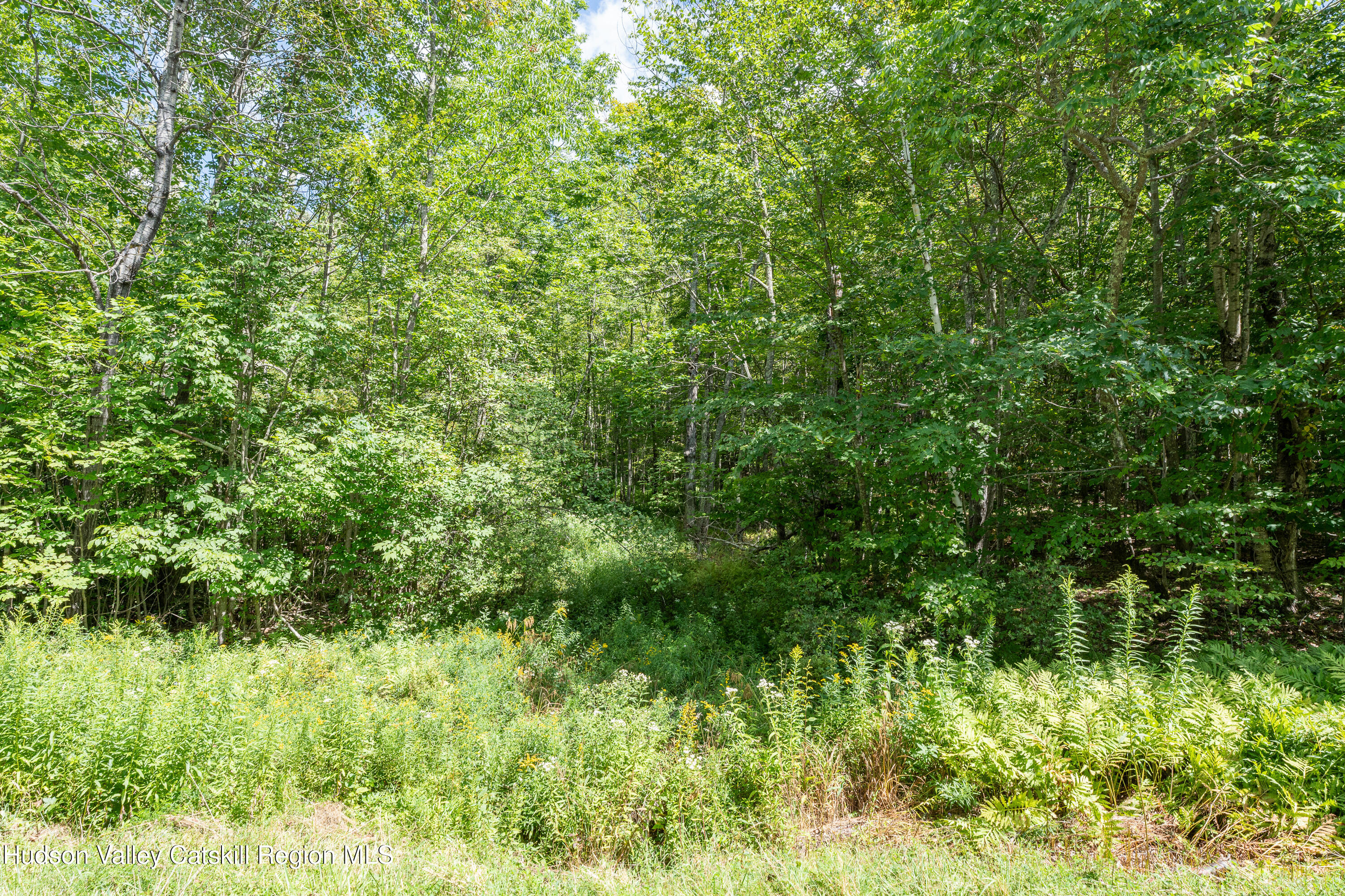 0 Joe Todd Road Fleischmanns, NY 12430 - Photo 8 of 18 a view of a lush green space