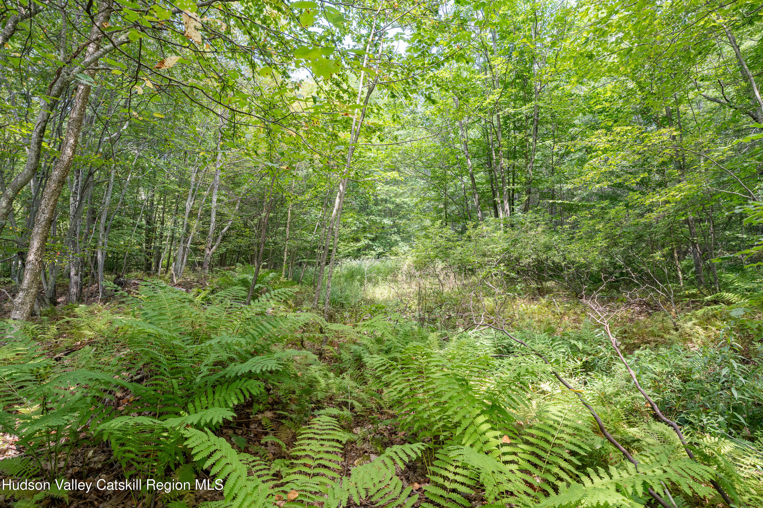 0 Joe Todd Road Fleischmanns, NY 12430 - Photo 9 of 18 a view of a lush green forest