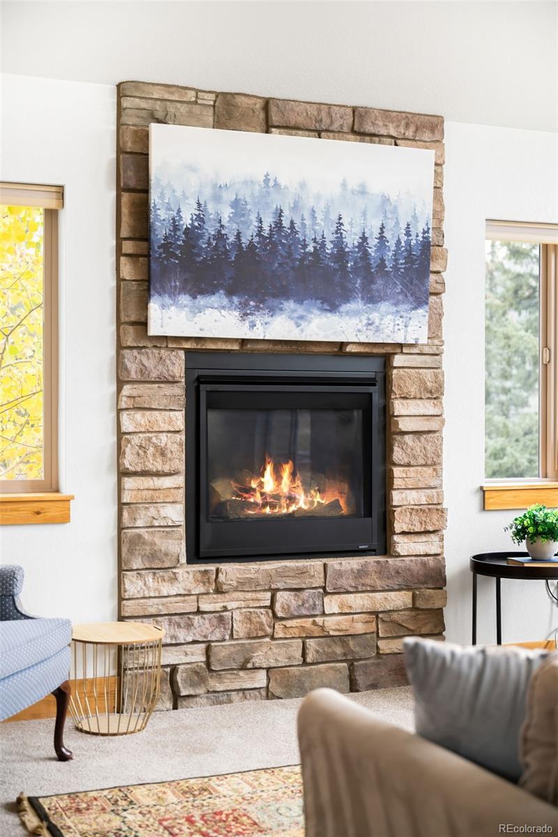 10248 South Turkey Creek Road Conifer, CO 80433 - Photo 18 of 50