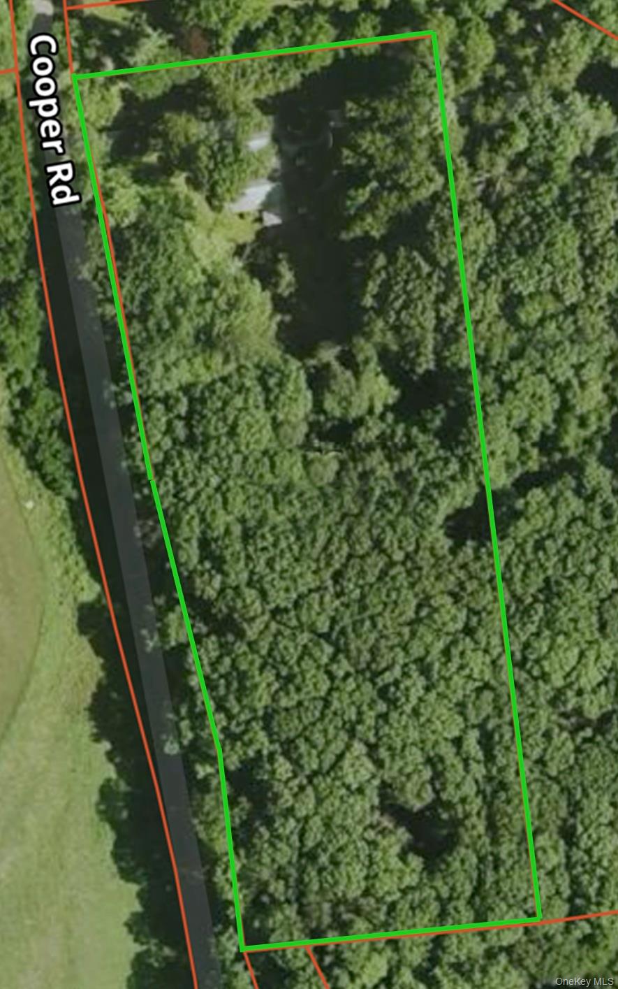 230 Cooper Road Millerton, NY 12546 - Photo 19 of 20 a view of a garden