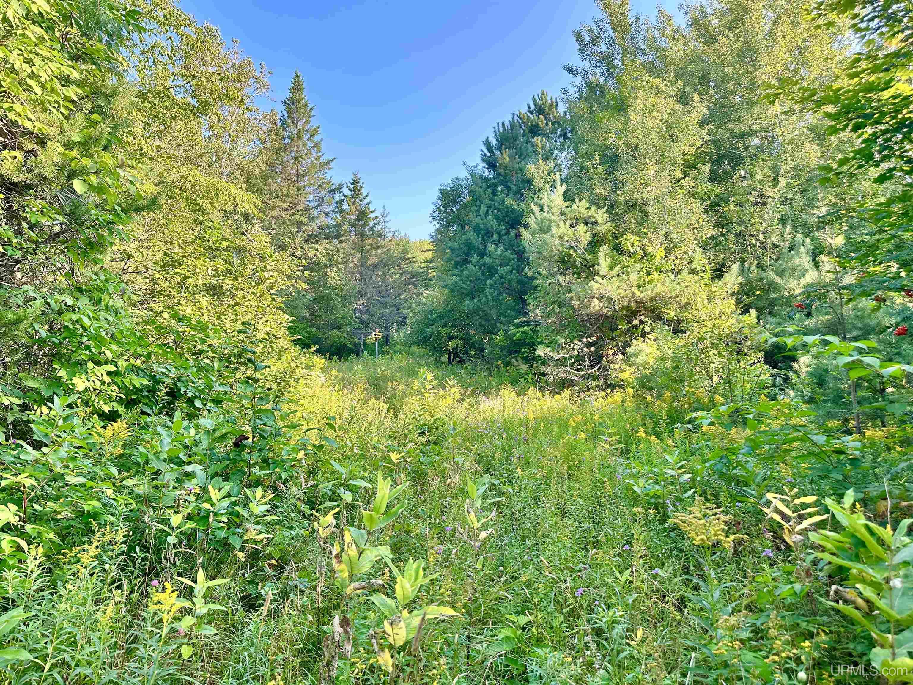 Tbd Crestview Road Ironwood, MI 49938 - Photo 11 of 49
