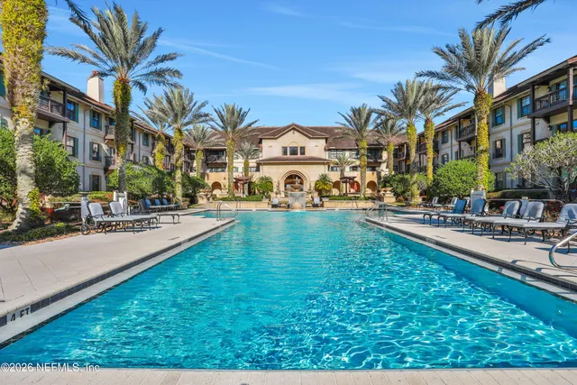 a view of a garden with plants