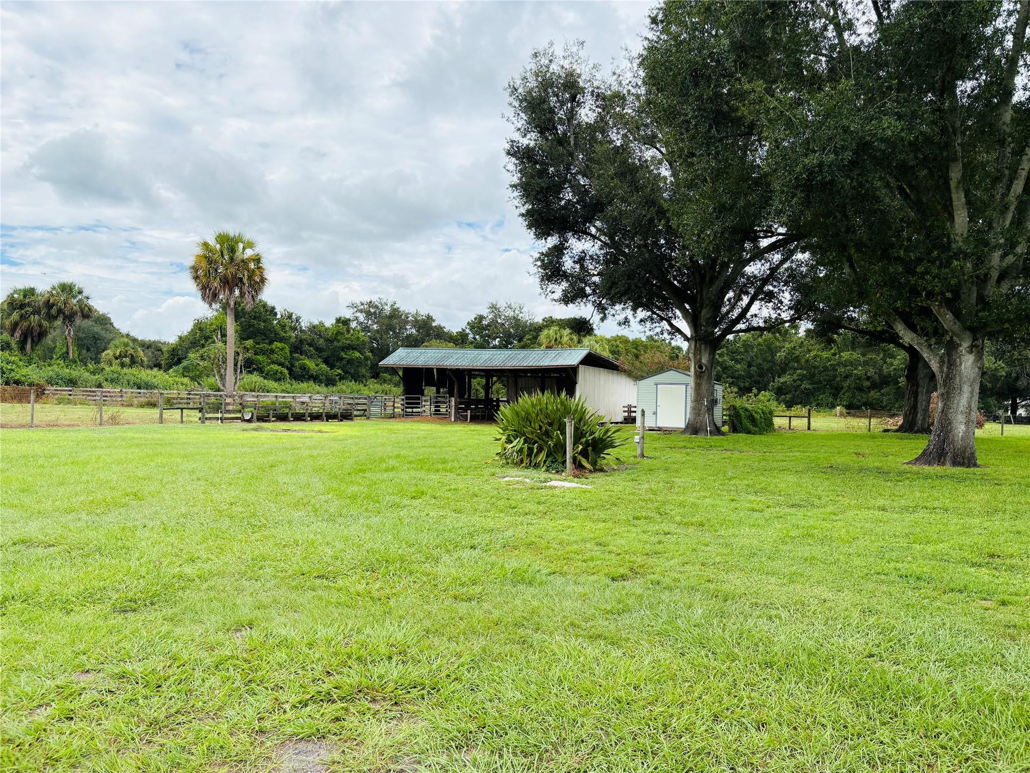 395 Southwest 30th Terrace Okeechobee, FL 34974 - Photo 45 of 57 a view of a park with a tree in the background