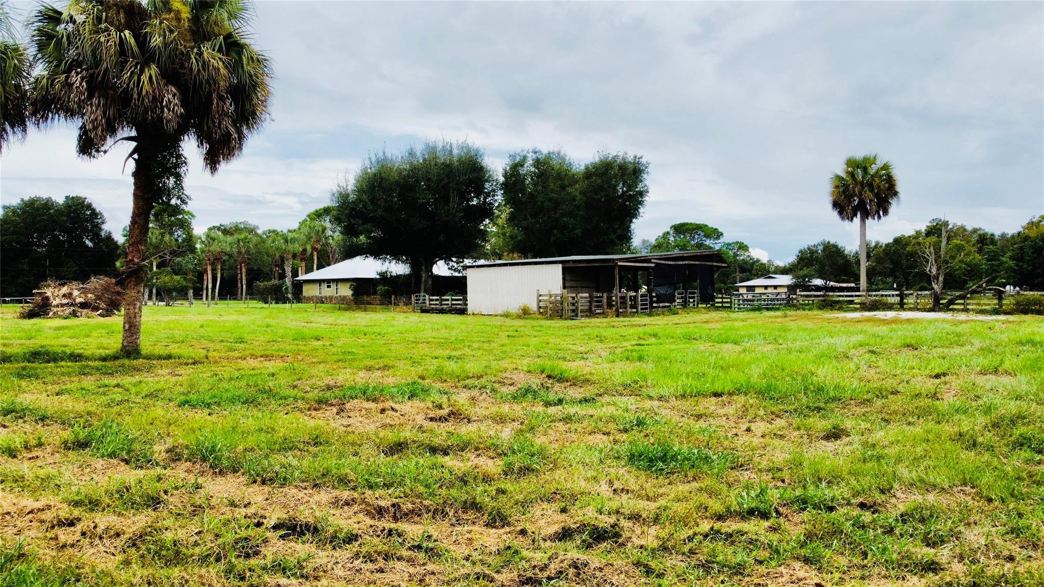 395 Southwest 30th Terrace Okeechobee, FL 34974 - Photo 52 of 57 a view of yard with swimming pool and green space