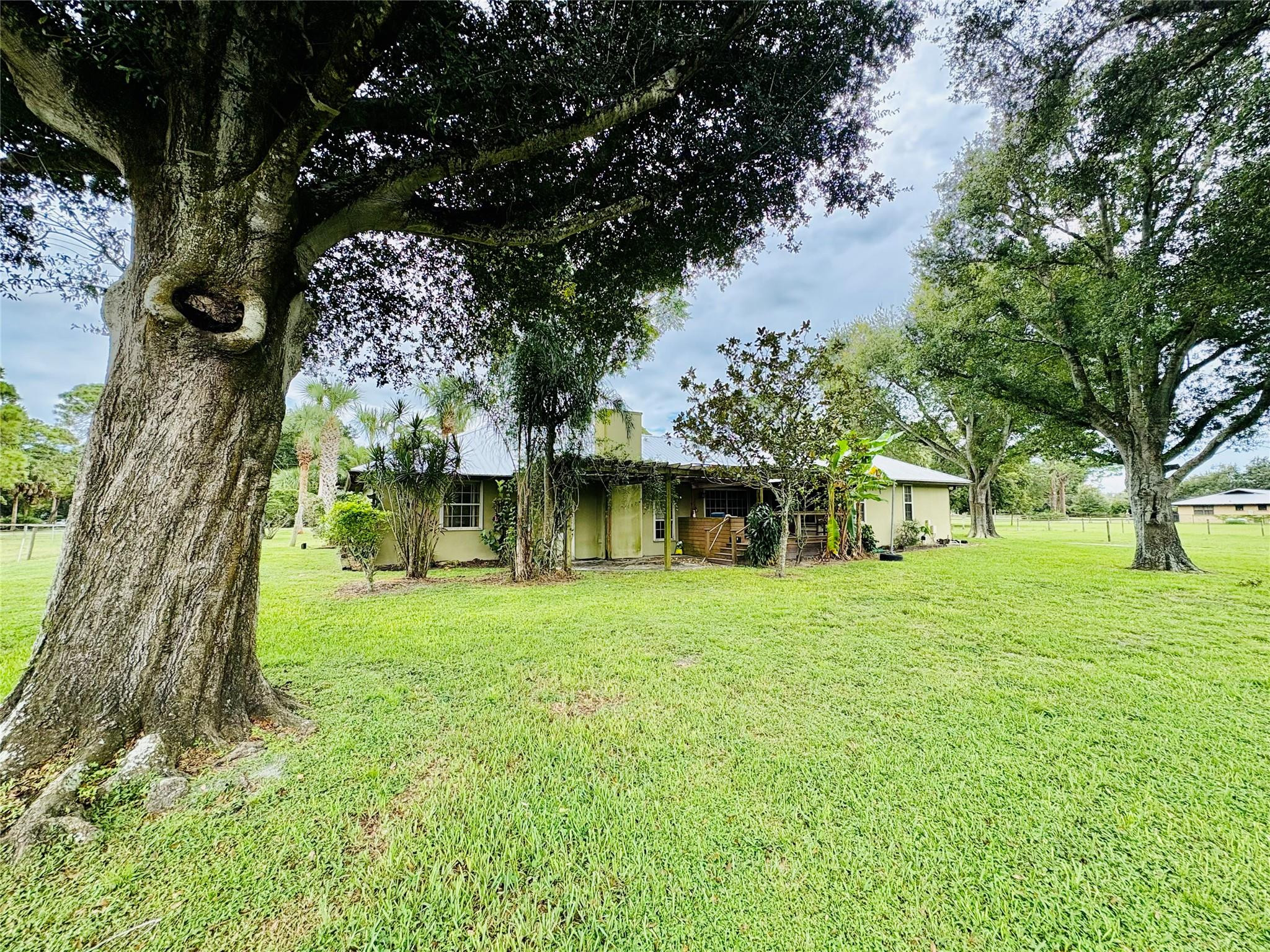 395 Southwest 30th Terrace Okeechobee, FL 34974 - Photo 57 of 57 a view of a trees in a yard with a tree