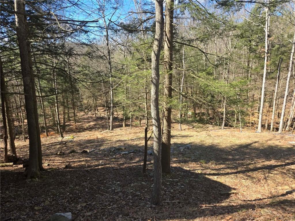 389 Winslow Hill Road Benezett, PA 15821 - Photo 27 of 33 a view of a yard with trees