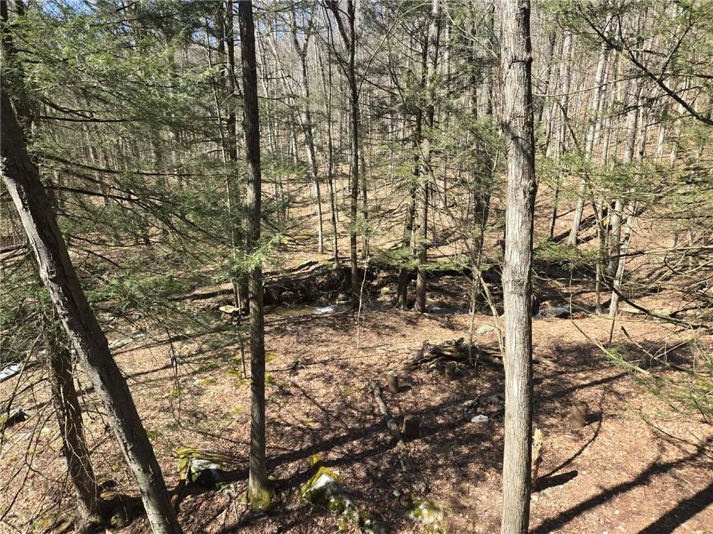 389 Winslow Hill Road Benezett, PA 15821 - Photo 28 of 33 a view of a yard