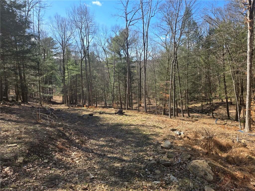 389 Winslow Hill Road Benezett, PA 15821 - Photo 29 of 33 a view of a yard with a large tree