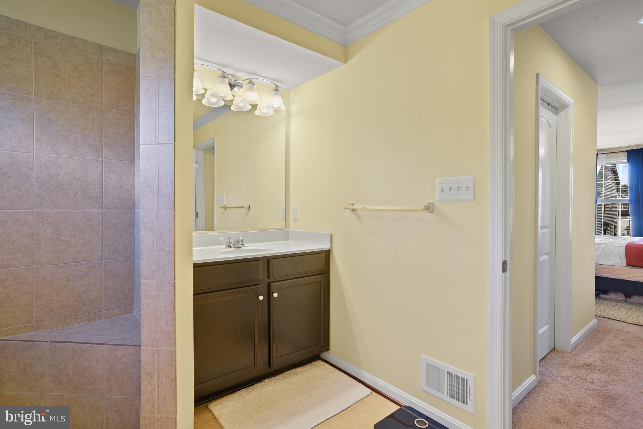 8185 Ridgely Loop Severn, MD 21144 - Photo 26 of 39 Primary Bathroom view 2