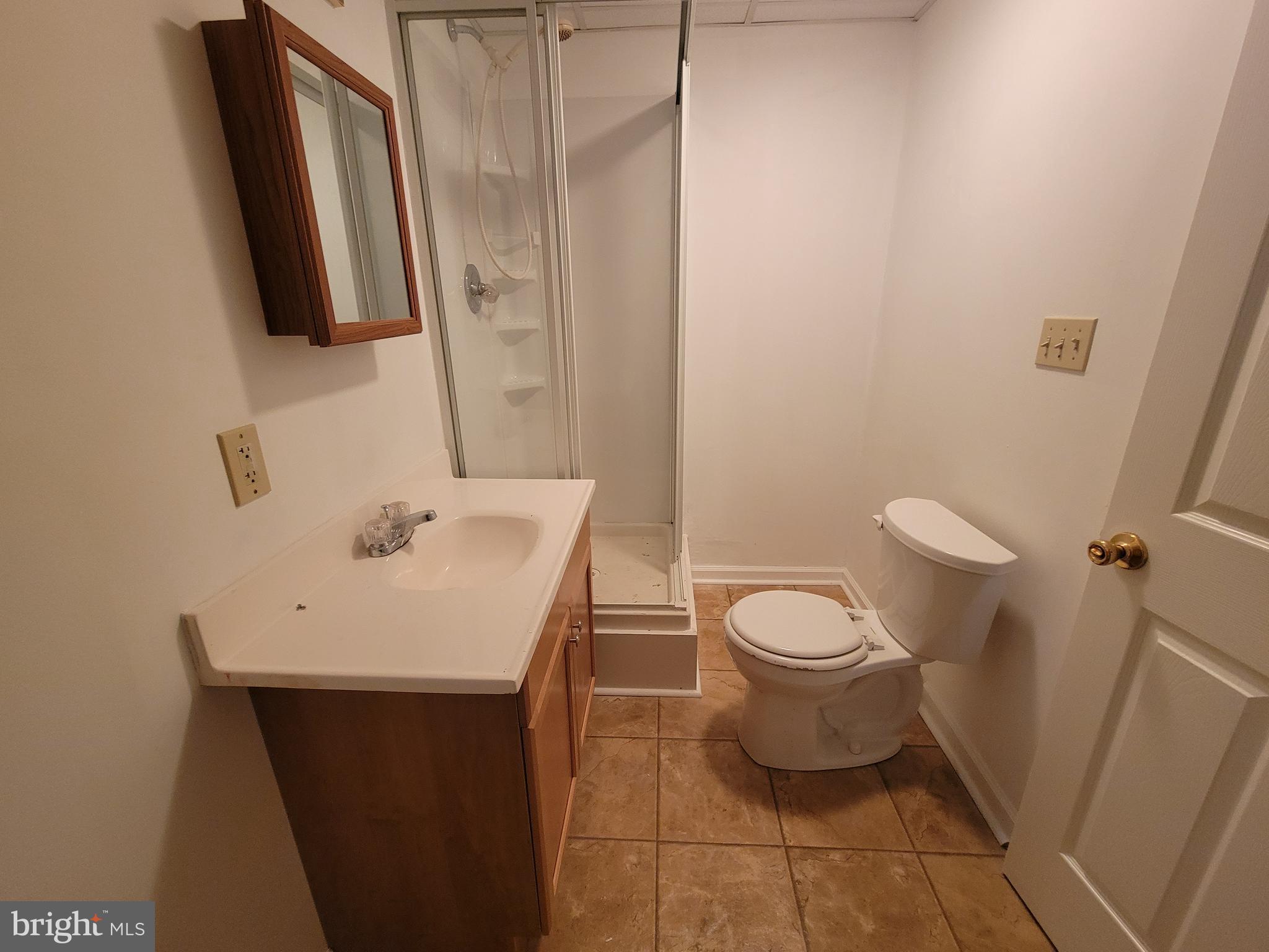 3475 Valley Road Berkeley Springs, WV 25411 - Photo 30 of 42 Downstairs Bath