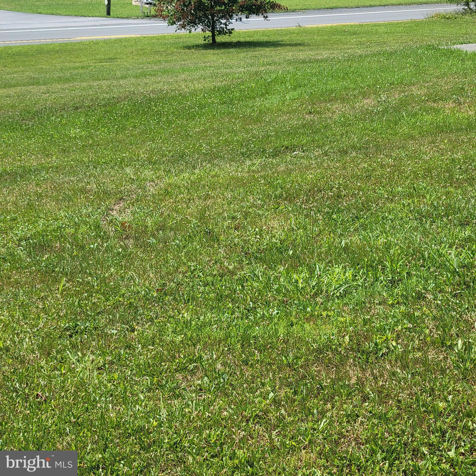 3475 Valley Road Berkeley Springs, WV 25411 - Photo 40 of 42 Yard