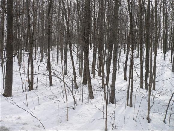 Lot#2 Fisher Road Barre Town, VT 05641 - Photo 1 of 1