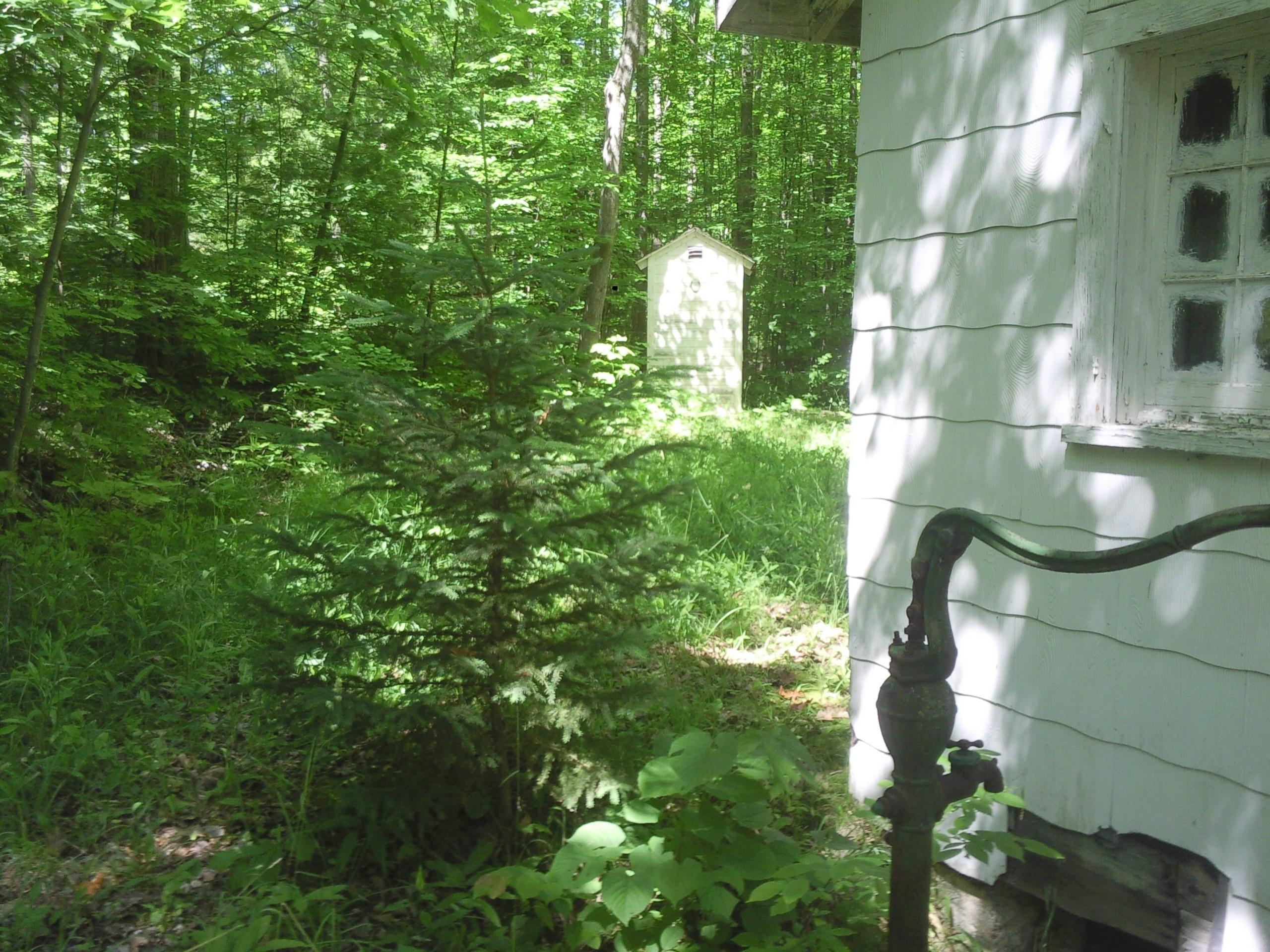 16350 Pleasant Valley Road Atlanta, MI 49709 - Photo 5 of 25 Gallery Image 5