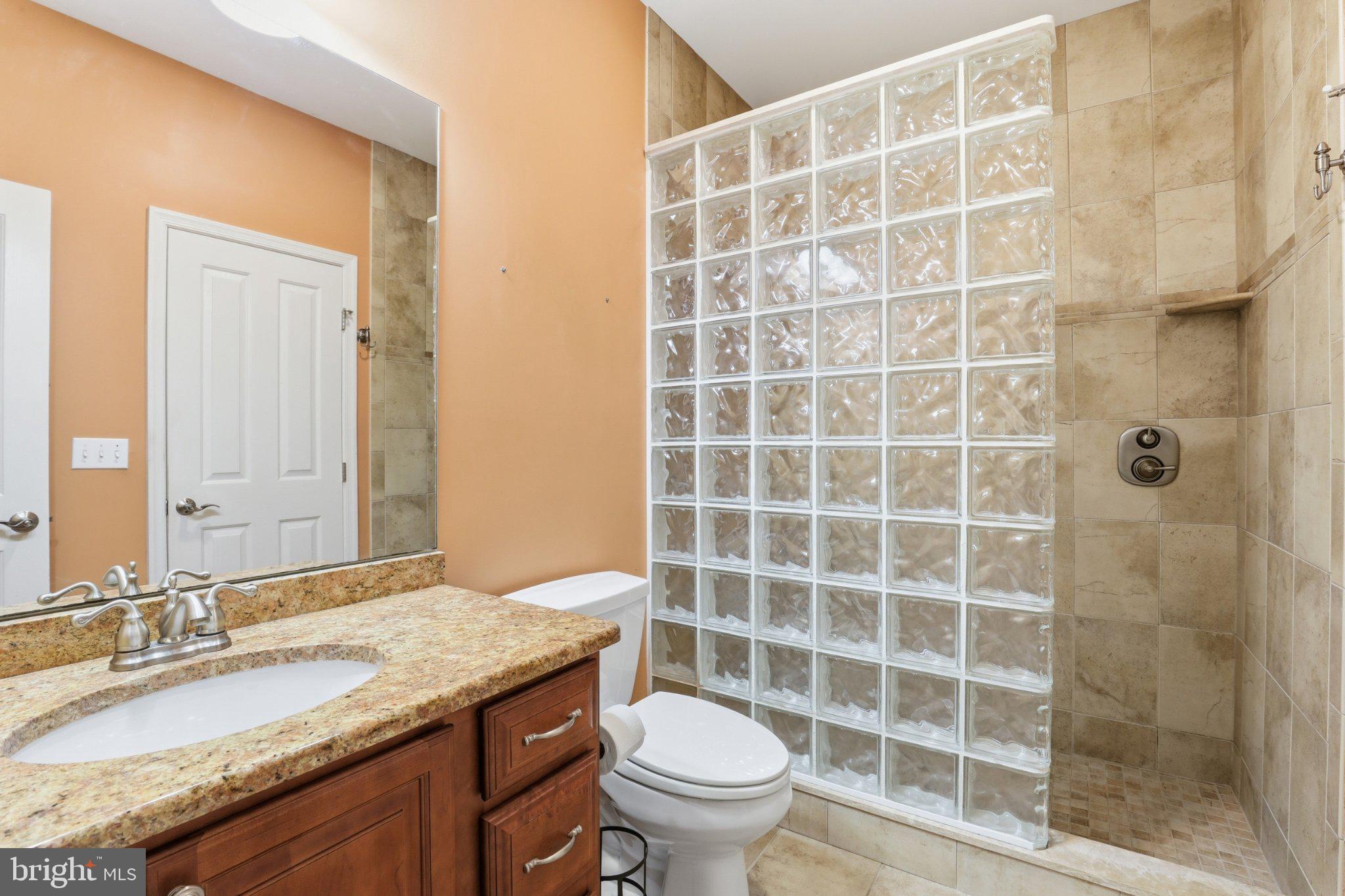 16932 Fitzgeralds Road Lincoln, DE 19960 - Photo 50 of 103 Modern bathroom with elegant finishes.