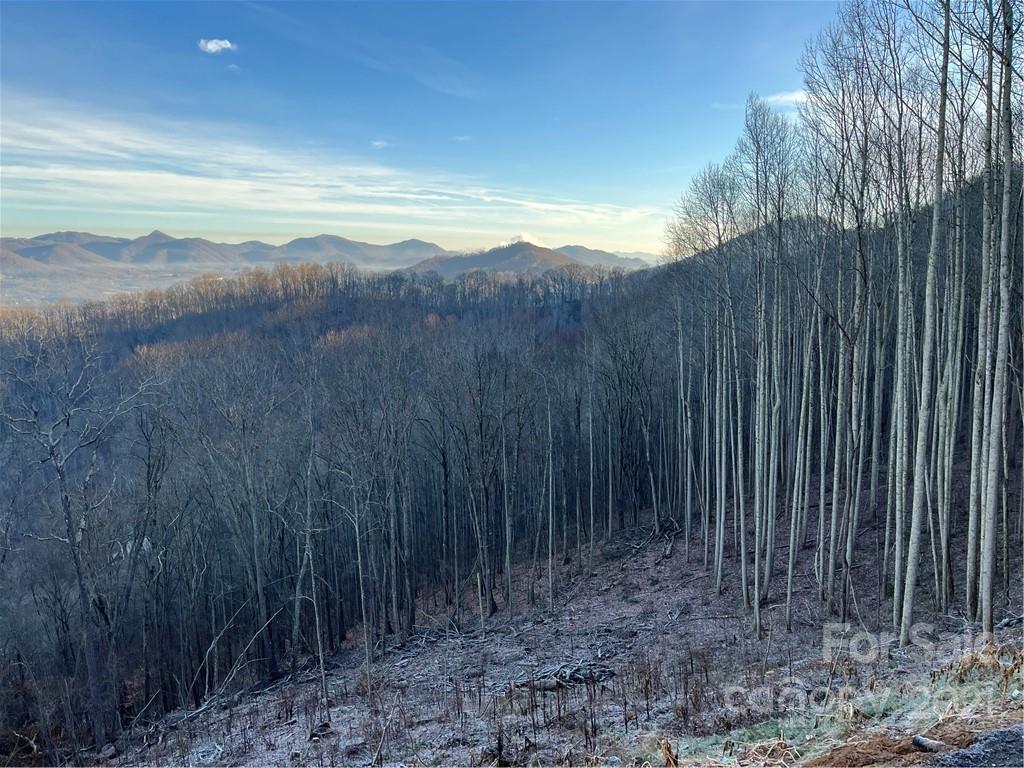 188 Smokey Ridge Loop Waynesville, NC 28786 - Photo 6 of 27