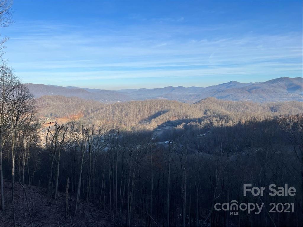 188 Smokey Ridge Loop Waynesville, NC 28786 - Photo 7 of 27
