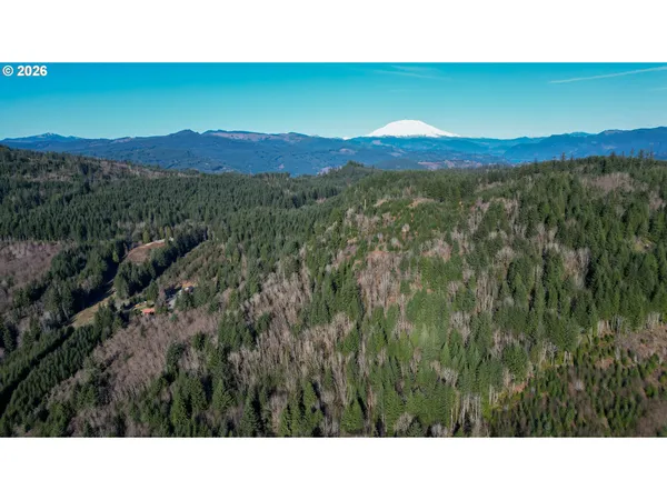 a open area with mountains in the background