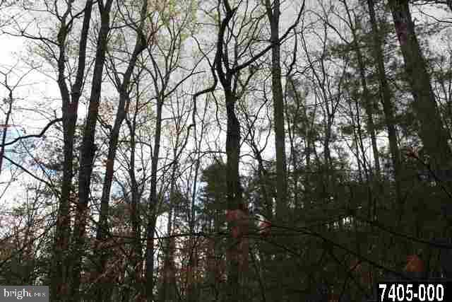 Oxford Road, Unit 3 York Springs, PA 17372 - Photo 5 of 16 Gallery Image 5