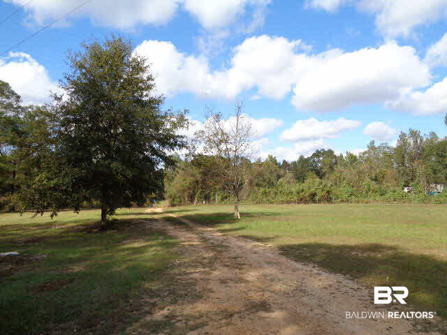 3745 Ewing Drive Atmore, AL 36502 - Photo 2 of 16 Land view 1