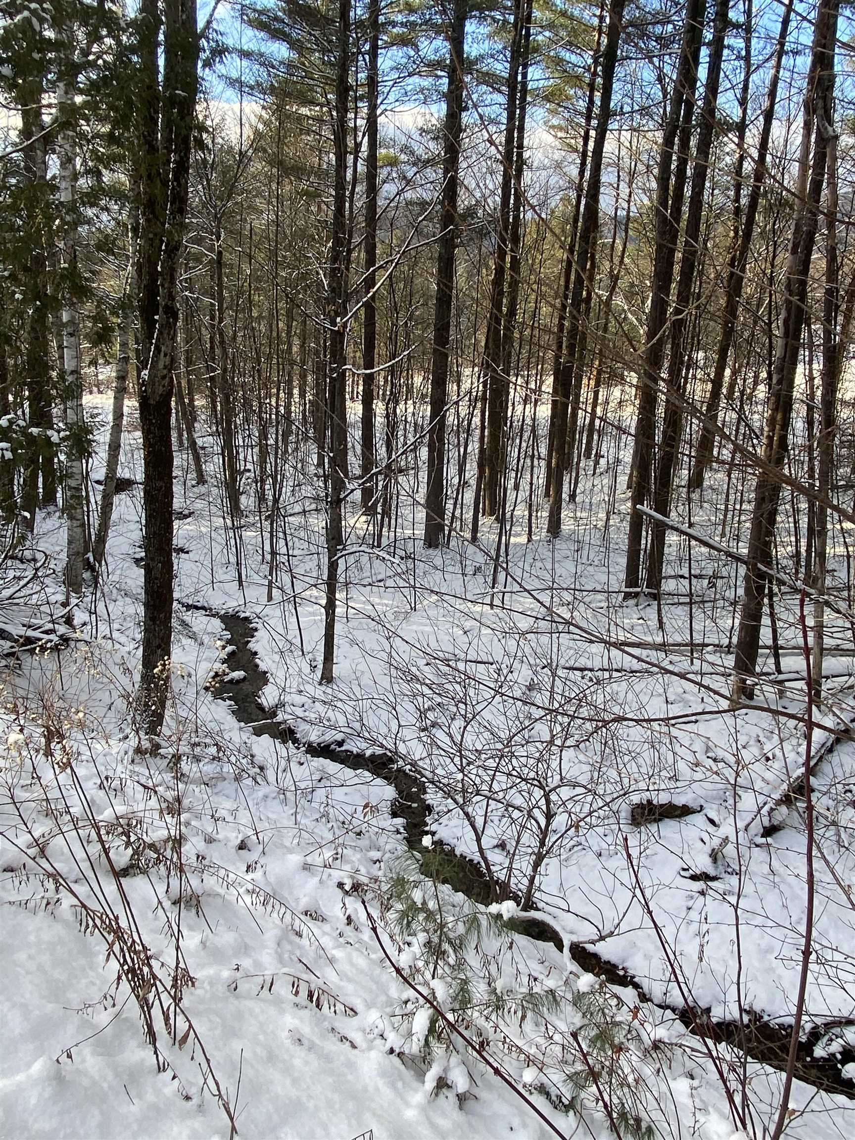 116 Zdon Road Middlesex, VT 05602 - Photo 39 of 40