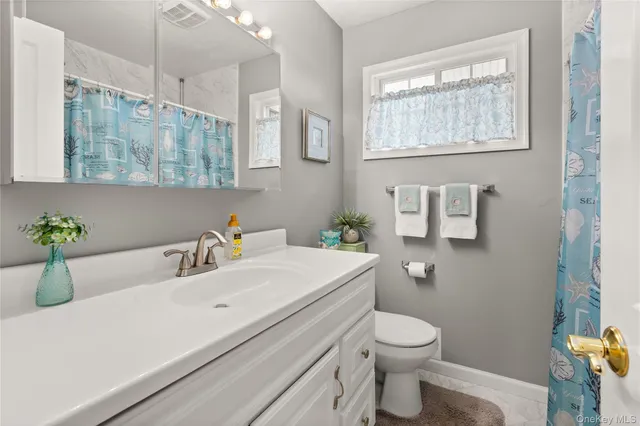a bathroom with a sink a toilet and mirror