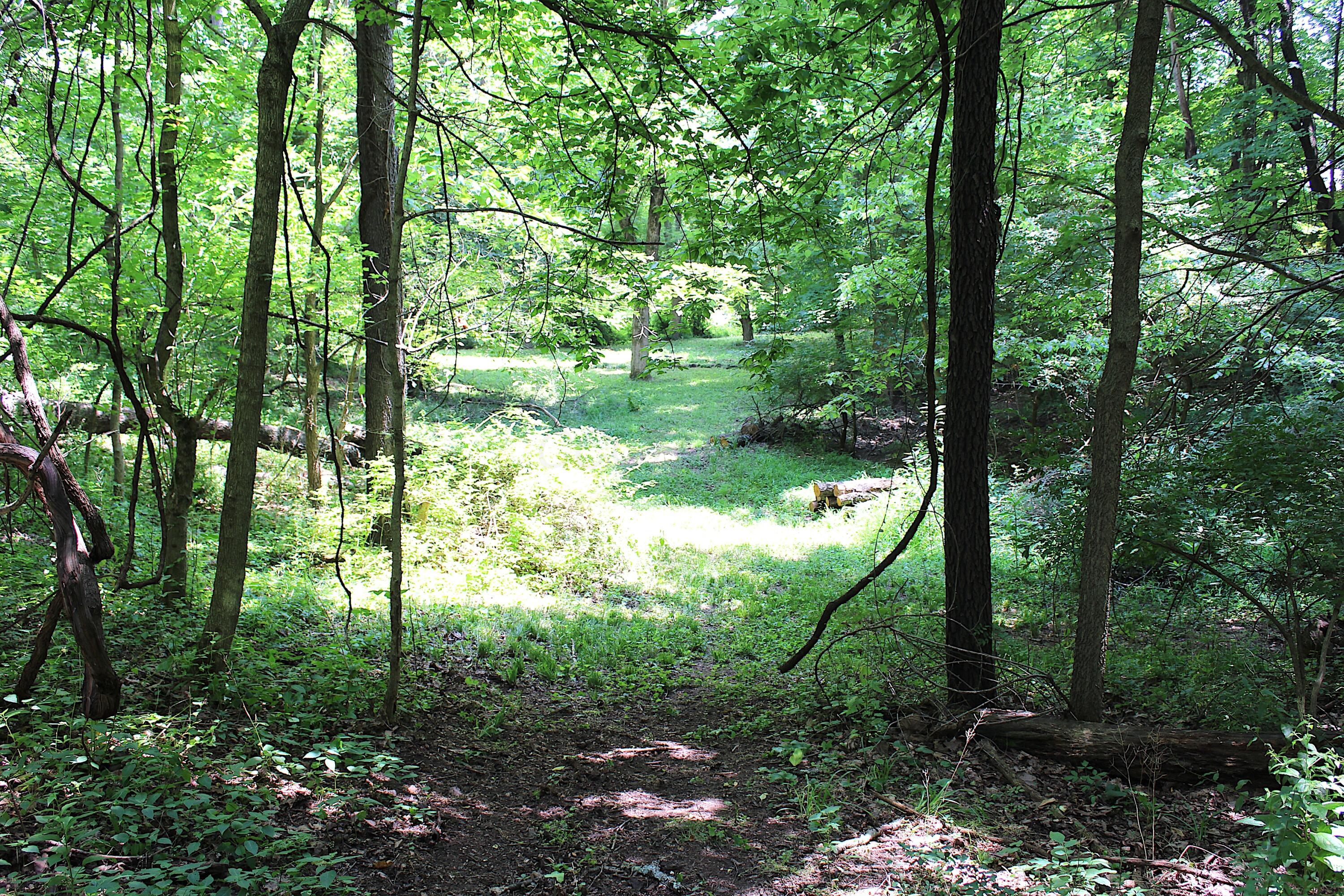 8870 Olentangy River Road Powell, OH 43065 - Photo 55 of 61 IMG_6753
