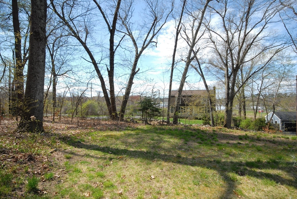 1 Pomfret Road Chelmsford, MA 01824 - Photo 3 of 28 a backyard of a house with lots of green space