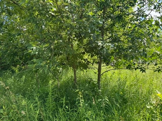 2179 Conrad Road Standish, MI 48658 - Photo 27 of 36 Gallery Image 27