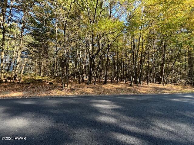 Lot 36 Fox Road Bushkill, PA 18324 - Photo 5 of 10