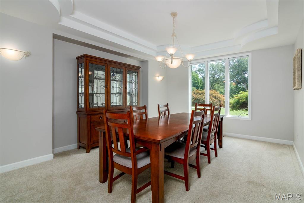 1949 Klaus-Geiger Road Highland, IL 62249 - Photo 50 of 55