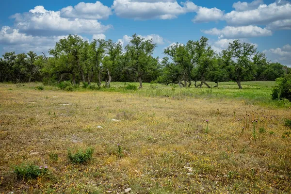 a view of a green field with wooden fence