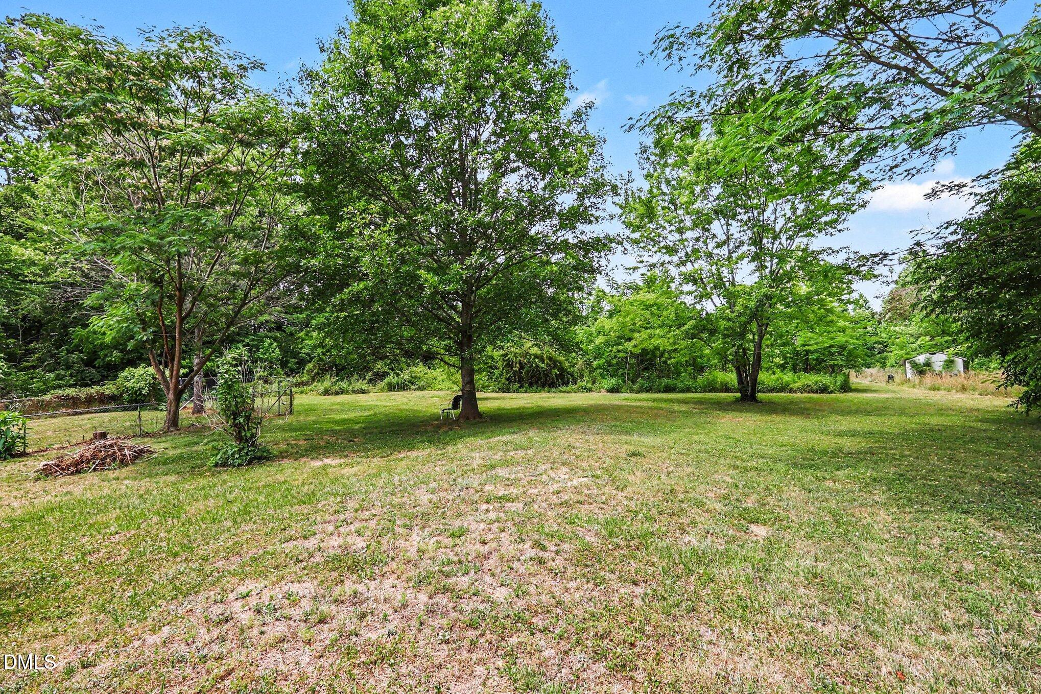 1750 Tom Oakley Road Timberlake, NC 27583 - Photo 29 of 31 a view of a tree in a yard