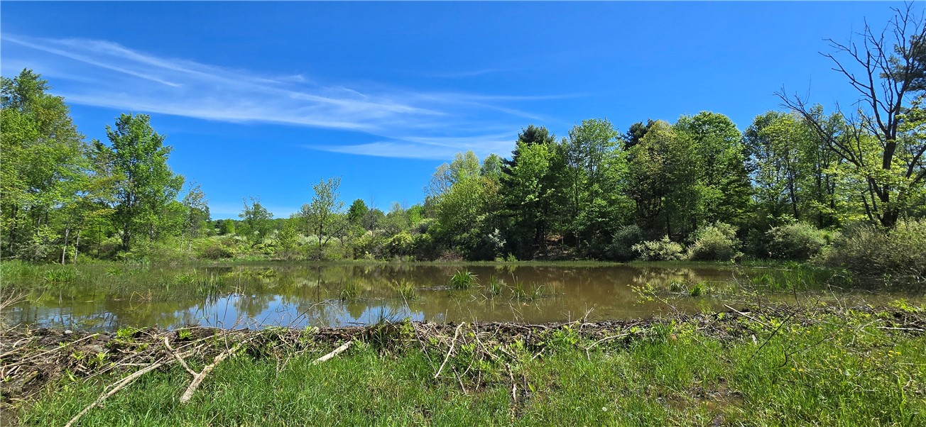 324 Murphy Hill Road Catlin, NY 14845 - Photo 30 of 47